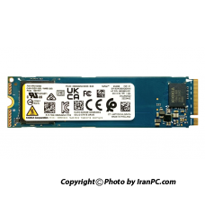 اس اس دی اینترنال کیوکسیا  NVME GEN 4 مدل ظرفیت 256 گیگابایت