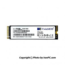 اس اس دی اینترنال تویین موس ظرفیت 256 گیگابایت مدل .M2 NVME